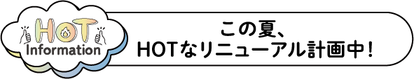 この夏、HOTなリニューアル計画中